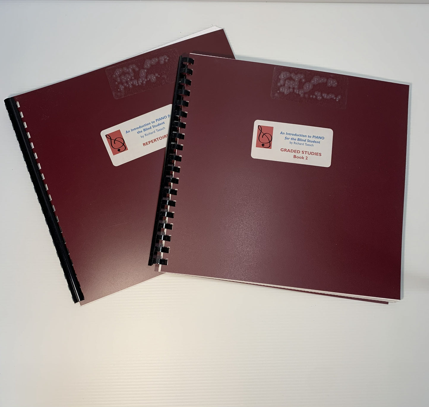 An Introduction to the Piano for the Blind Student, Book 2 (Repertoire and Graded Studies)